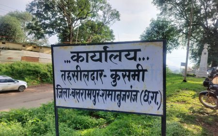 कुसमी तहसील में एक साल में 100 से अधिक लंबित राजस्व मामलों का निपटारा, तहसीलदार राकी एक्का की कार्यशैली की हो रही सराहना