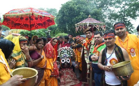 बालकोनगर में निकली भगवान जगन्नाथ की भव्य रथयात्रा, श्रद्धा और भक्ति में डूबा पूरा नगर