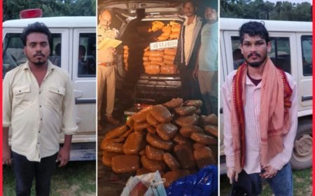MCB और जशपुर पुलिस की संयुक्त कार्रवाई, 552 किलो गांजा जब्त कर अंतर्राज्यीय तस्करी नेटवर्क का किया पर्दाफाश