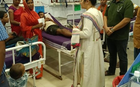 बलरामपुर सड़क हादसे में एक ही परिवार के 3 लोग घायल, 4 मवेशियों की मौत अस्पताल और घटनास्थल पहुंचीं कलेक्टर