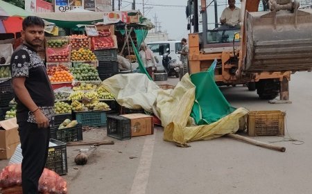 रायपुर के लालपुर फल मंडी में निगम की कार्रवाई, अवैध कब्जे हटाकर नाली की सफाई कर निकासी व्यवस्था सुधारी