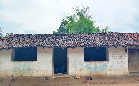 चार साल से स्कूल भवन का इंतजार, गरियाबंद के मोतीपानी में गाय के कोठे में पढ़ने को मजबूर 41 बच्चे