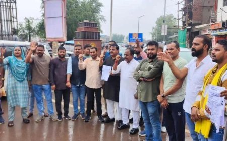 स्मार्ट मीटर के विरोध में कांग्रेस का अभियान, रायपुर में घर-घर बांटे आवेदन, बिजली बिल बढ़ने का लगाया आरोप
