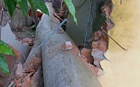 गरियाबंद में घर पर गिरा विशाल नीलगिरी का पेड़, डायल 112 ने मलबे में दबी महिला की बचाई जान