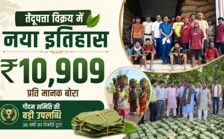 गीदम समिति ने रचा इतिहास, तेंदूपत्ता 10,909 रुपये प्रति मानक बोरा की रिकॉर्ड कीमत पर बिका: केदार कश्यप