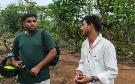 अबूझमाड़ के कच्चापाल वाटरफॉल में मधुमक्खियों का हमला, पर्यटकों में मची अफरा-तफरी