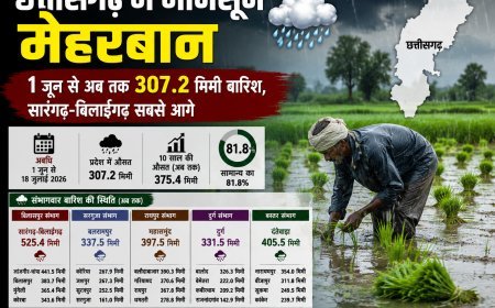 छत्तीसगढ़ में मानसून मेहरबान: 1 जून से अब तक 307.2 मिमी बारिश, सारंगढ़-बिलाईगढ़ सबसे आगे