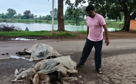 बालोद में तेज रफ्तार वाहनों का कहर, दो अलग-अलग हादसों में दो गौवंश की मौत