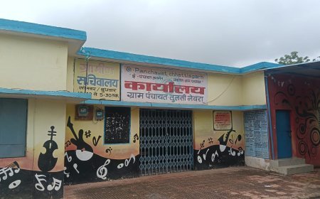 तुलसी पंचायत में शासकीय बोरिंग पर निर्माण का आरोप, पेयजल व्यवस्था पर उठे सवाल