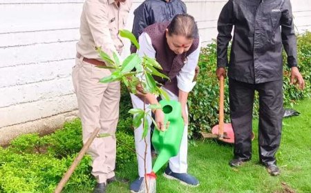 कुशाभाऊ ठाकरे परिसर में पौधारोपण, विधायक संपत अग्रवाल ने दिया हरित छत्तीसगढ़ का संदेश