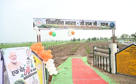 विकसित भारत जी राम जी उद्यान योजना से ग्रामीणों को मिलेगा रोजगार, कबीरधाम में 30 स्थानों पर बनेंगे फलदार उद्यान