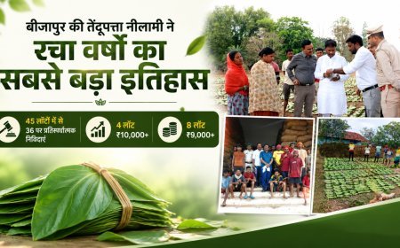 बीजापुर ने रचा इतिहास, तेंदूपत्ता नीलामी में मिला वर्षों का सर्वाधिक रिकॉर्ड मूल्य