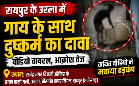 रायपुर के उरला में गाय के साथ दुष्कर्म का कथित वीडियो वायरल, जांच की मांग तेज