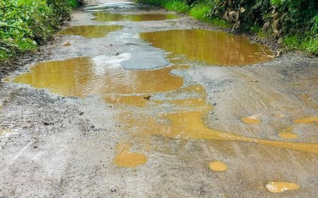महासमुंद: सलडीह–ढोढरकसा मार्ग बदहाल, गड्ढों में तब्दील सड़क से राहगीर परेशान, ग्रामीणों ने जल्द मरम्मत की उठाई मांग