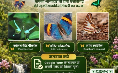 भोरमदेव अभ्यारण्य की ऑरेंज ओकलीफ को राजकीय तितली बनाने के लिए वोट करने की अपील