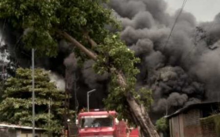 कोरबा की कार्बन फैक्ट्री में भीषण आग, काले धुएं से ढका आसमान; राहत-बचाव अभियान जारी