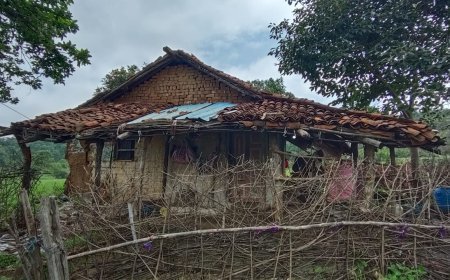 स्लग-घर से रेस्क्यू किए गए तेंदुए की मुक्की में मौत,उठे कई सवाल