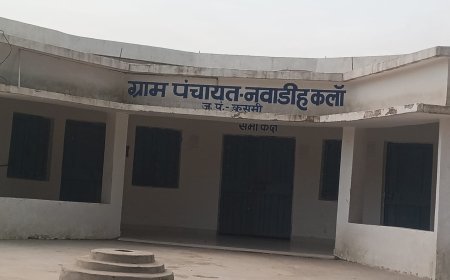 बलरामपुर नवाडीह कला पंचायत में 'फंड मैनेज' का बड़ा खेल बिना स्वीकृति के कराए काम दूसरे मद से भुगतान का आरोप