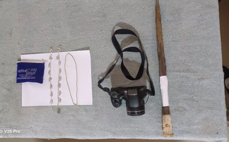 48 घंटे में चोरी का खुलासा, मनेन्द्रगढ़ पुलिस ने दो आरोपियों को गिरफ्तार कर बरामद किया चोरी का सामान