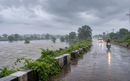 कबीरधाम में अब तक 306.8 मिमी औसत वर्षा दर्ज, कुकदूर और पिपरिया में सबसे अधिक बारिश