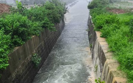 मूसलाधार बारिश से जनजीवन अस्त-व्यस्त, नदी-नाले उफान पर, जिला प्रशासन ने जारी किया अलर्ट