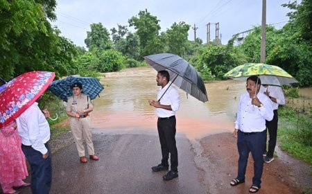 भारी वर्षा के बीच रपटा-नालों का कलेक्टर और एसपी ने किया निरीक्षण, जलमग्न मार्गों से दूर रहने की अपील