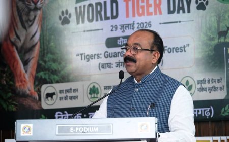 वन महोत्सव में उप मुख्यमंत्री अरुण साव ने किया पौधरोपण, पर्यावरण संरक्षण का दिलाया संकल्प