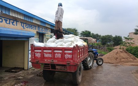फिकल स्लज ट्रीटमेंट प्लांट के 'सोनखाद' की बिक्री से ग्राम पंचायत पतोरा को 70 हजार रुपये का राजस्व