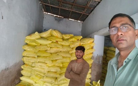 अनियमितताओं पर बड़ी कार्रवाई, पान सीड्स प्रा. लि. का बीज विक्रय लाइसेंस निरस्त