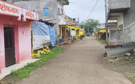 निर्माण बिना भुगतान का आरोप: साईंखेड़ा खुर्द पंचायत में लाखों की अनियमितता की शिकायत, कलेक्टर से जांच की मांग