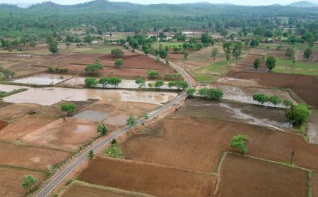 प्रधानमंत्री जनमन योजना से बदली वनांचल छिंदपुर की तस्वीर, 1.5 किमी पक्की सड़क से ग्रामीणों को मिली बड़ी राहत