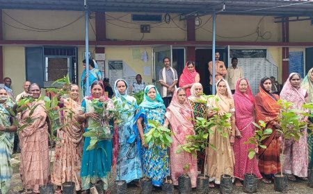 ओरमा में लगातार दूसरे वर्ष चला हरियाली अभियान, ग्रामीणों ने किया वृहद वृक्षारोपण