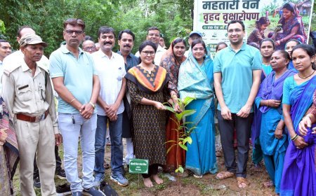 बालोद के पर्यावरण पार्क में वृहद वृक्षारोपण अभियान, महतारी वंदन योजना से जुड़ी महिलाओं ने लगाए पौधे