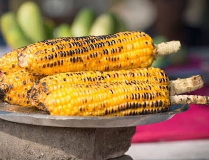 मानसून में भुट्टा खाना कितना फायदेमंद? जानिए किन लोगों को बरतनी चाहिए सावधानी
