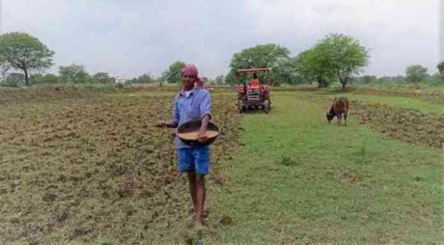 कम बारिश की आशंका के बीच सरकार की किसानों से अपील, धान की सीधी बुवाई अपनाने की सलाह