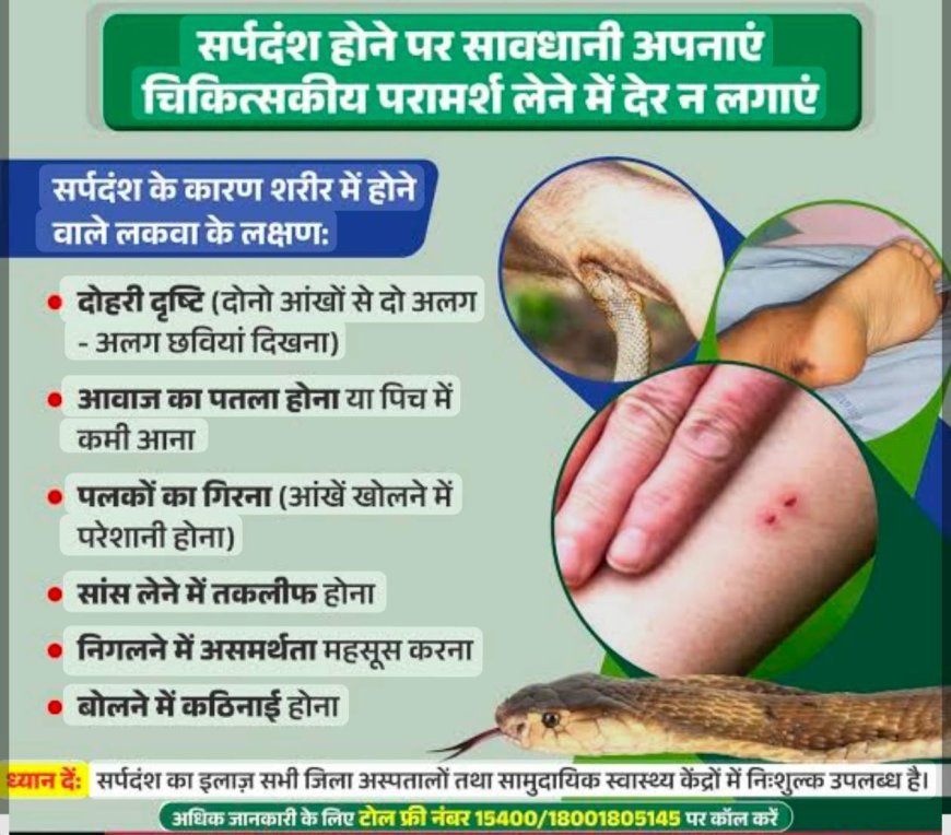 वर्षा ऋतु में सर्पदंश से रहें सतर्क, झाड़-फूंक नहीं तत्काल अस्पताल पहुंचें: स्वास्थ्य विभाग
