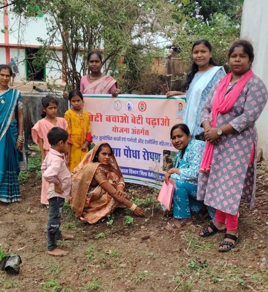 मुनगा पौधारोपण से कुपोषण मुक्त छत्तीसगढ़ की पहल, घर-घर पहुंचेगा पोषण का संदेश