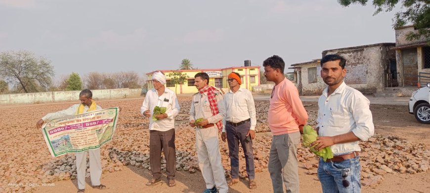 कबीरधाम में तेंदूपत्ता संग्राहकों को बड़ी राहत, वर्ष 2026 का पारिश्रमिक और 2023 सीजन का बोनस भुगतान शुरू