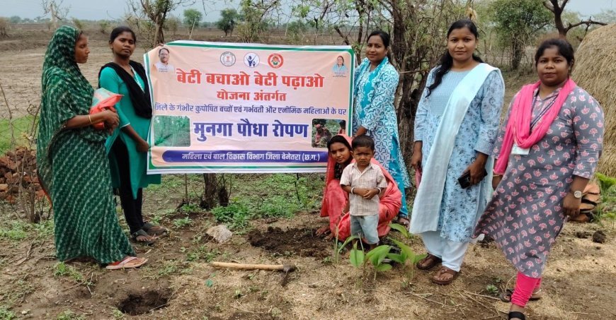 'हर-घर मुनगा, घर-घर सुपोषण' अभियान को मिली रफ्तार, कुपोषण मुक्त छत्तीसगढ़ की ओर बढ़ते कदम