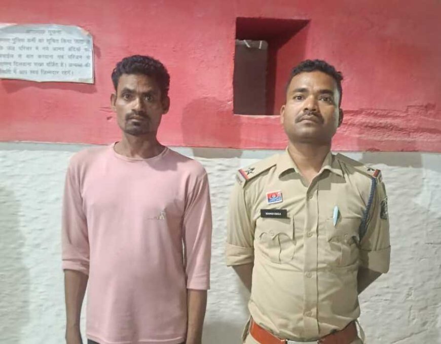 महिला संबंधी अपराध का फरार आरोपी गिरफ्तार, दो माह बाद रतनपुर पुलिस के हत्थे चढ़ा