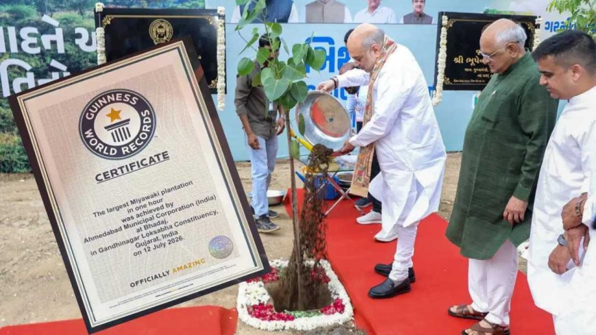 अहमदाबाद में एक घंटे में 3.61 लाख पौधे लगाकर बना गिनीज वर्ल्ड रिकॉर्ड, अमित शाह रहे मौजूद