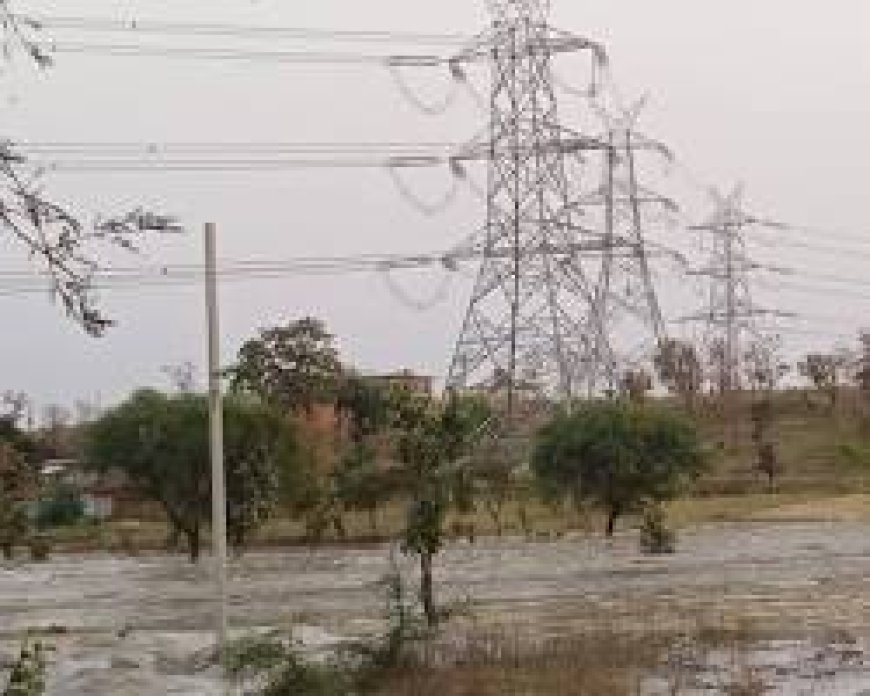सिंगरौली में गंदे पानी से हड़कंप, 10 वार्डों में दूषित जल सप्लाई की आशंका