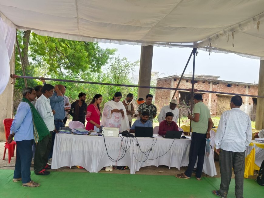 समर्थन मूल्य पर धान बेचने के लिए एग्री स्टेक पंजीयन अनिवार्य, 30 जुलाई तक कराएं रजिस्ट्रेशन