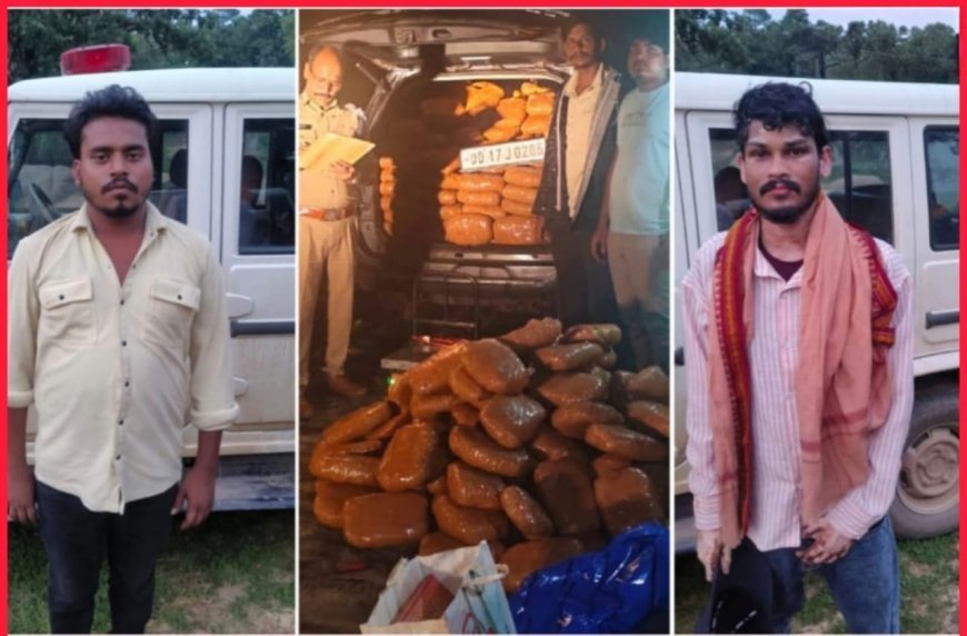 MCB और जशपुर पुलिस की संयुक्त कार्रवाई, 552 किलो गांजा जब्त कर अंतर्राज्यीय तस्करी नेटवर्क का किया पर्दाफाश