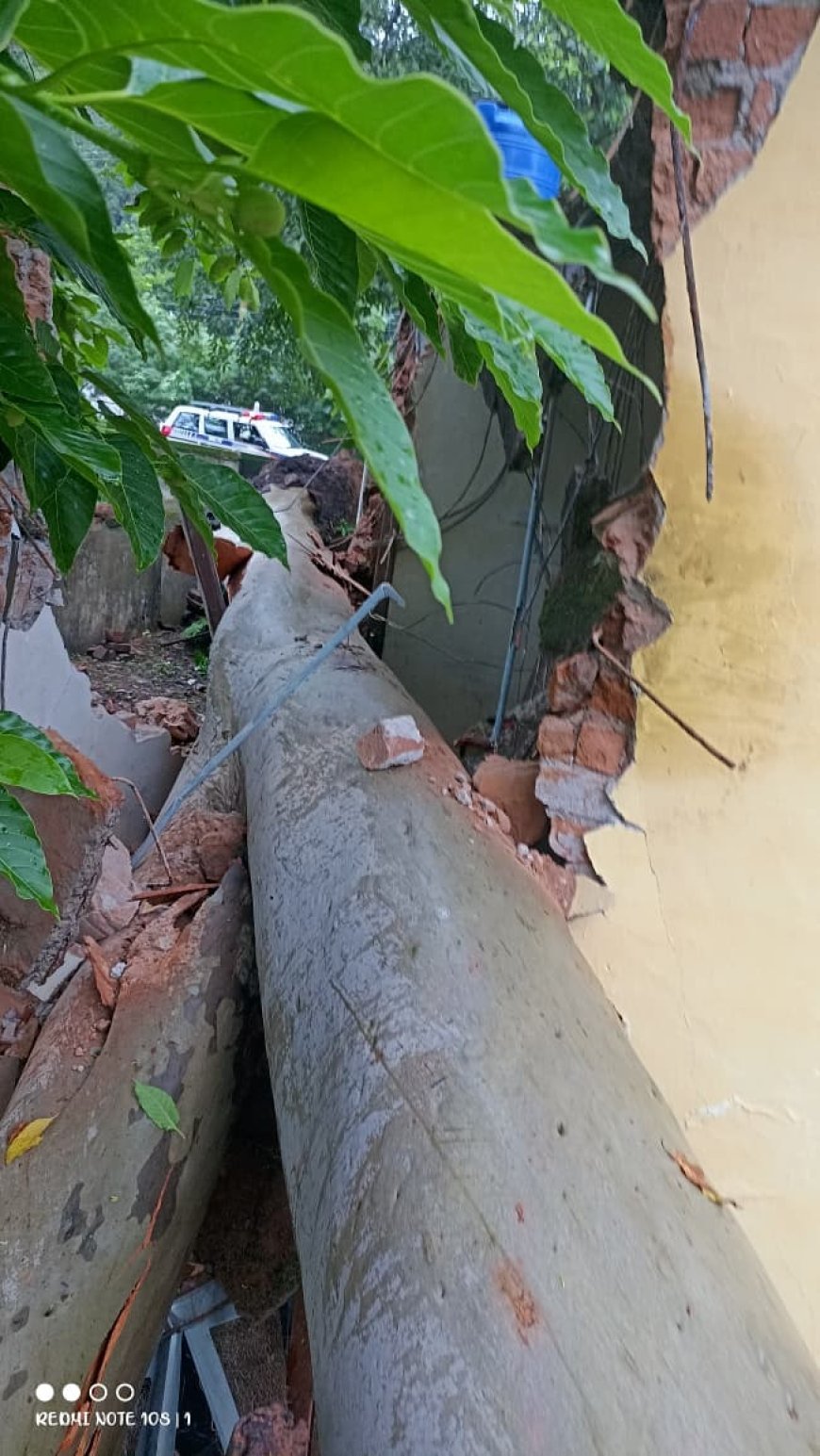 गरियाबंद में घर पर गिरा विशाल नीलगिरी का पेड़, डायल 112 ने मलबे में दबी महिला की बचाई जान