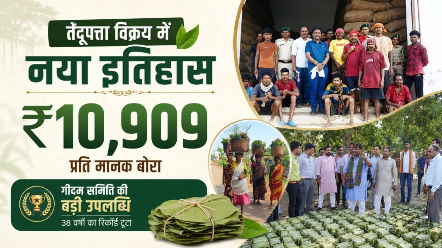 गीदम समिति ने रचा इतिहास, तेंदूपत्ता 10,909 रुपये प्रति मानक बोरा की रिकॉर्ड कीमत पर बिका: केदार कश्यप