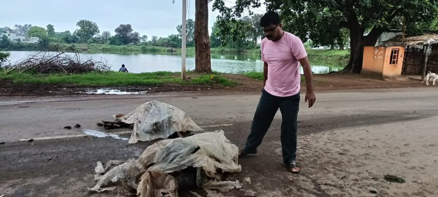 बालोद में तेज रफ्तार वाहनों का कहर, दो अलग-अलग हादसों में दो गौवंश की मौत