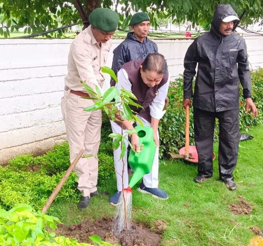 कुशाभाऊ ठाकरे परिसर में पौधारोपण, विधायक संपत अग्रवाल ने दिया हरित छत्तीसगढ़ का संदेश
