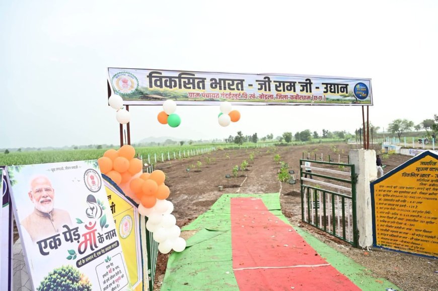 विकसित भारत जी राम जी उद्यान योजना से ग्रामीणों को मिलेगा रोजगार, कबीरधाम में 30 स्थानों पर बनेंगे फलदार उद्यान