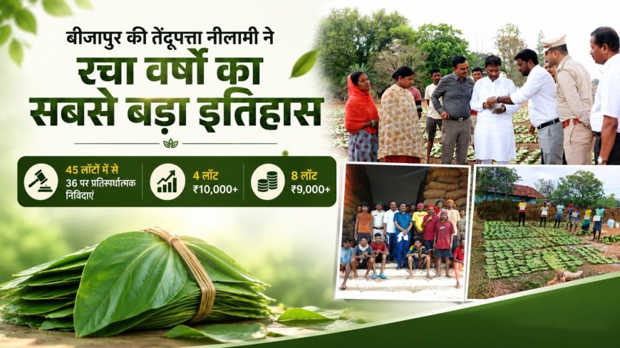 बीजापुर ने रचा इतिहास, तेंदूपत्ता नीलामी में मिला वर्षों का सर्वाधिक रिकॉर्ड मूल्य